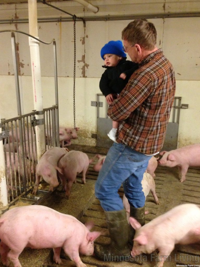 How Do We Raise Healthy Pigs?